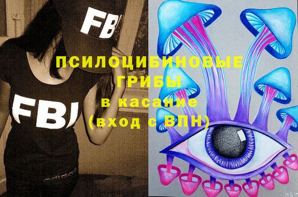 дживик Краснослободск