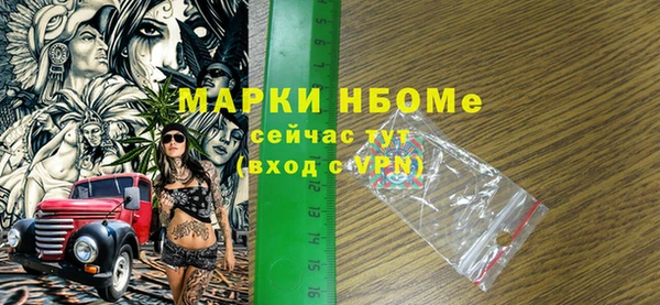 дживик Краснослободск
