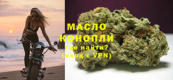 дживик Краснослободск