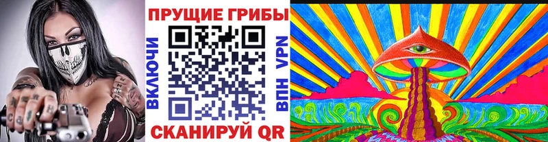 Псилоцибиновые грибы мицелий  Мариинский Посад 
