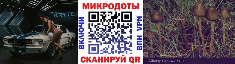 Галлюциногенные грибы Psilocybe Мариинский Посад